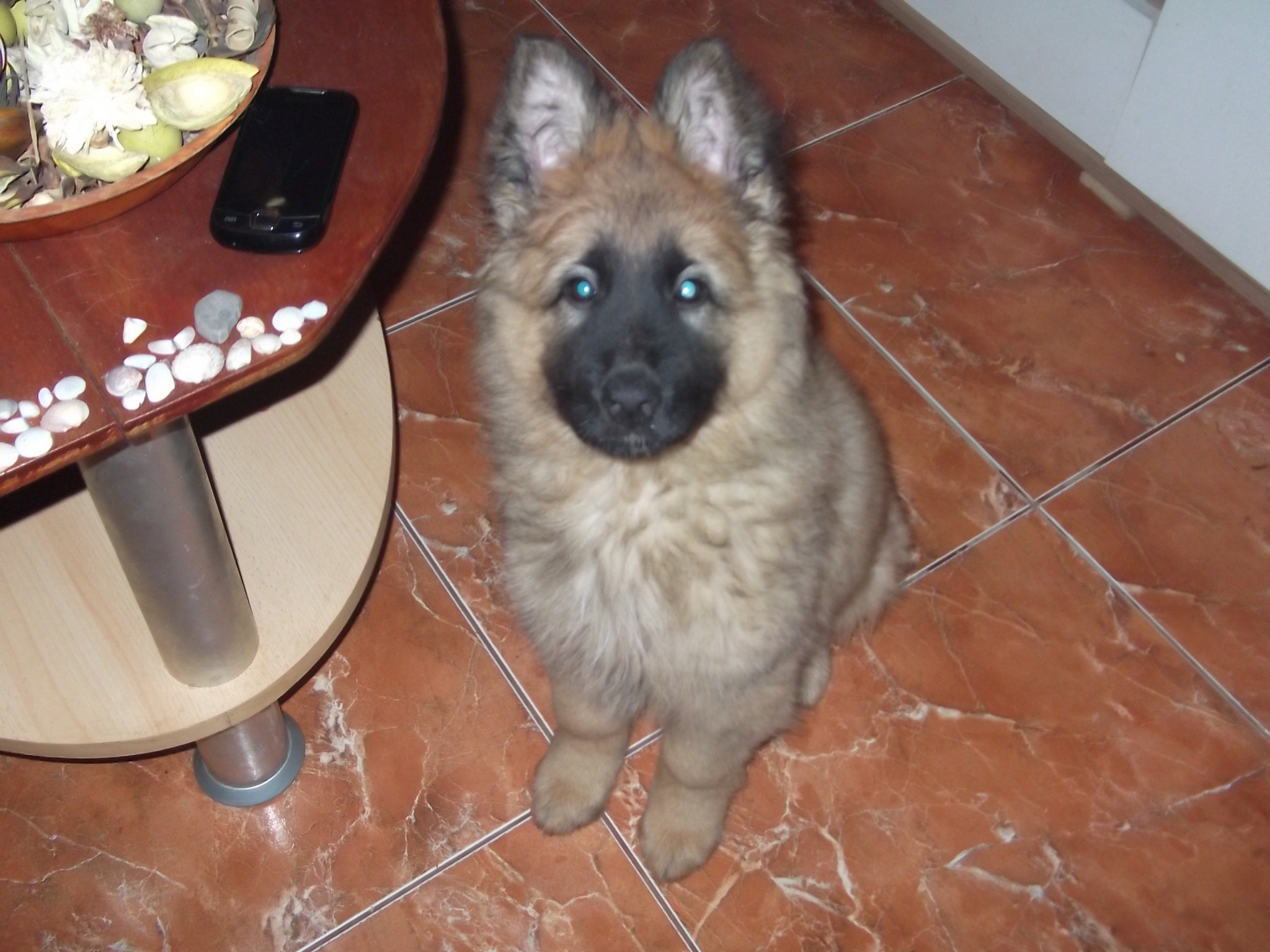 DSCF1671
