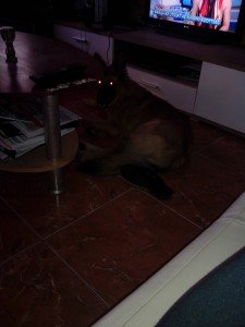 IMG_20130904_183909