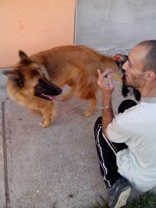 IMG_20130907_175038