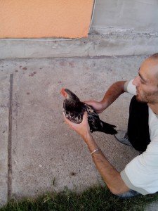 IMG_20130907_175045