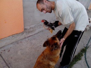 IMG_20130907_175058