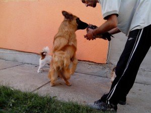 IMG_20130907_175145