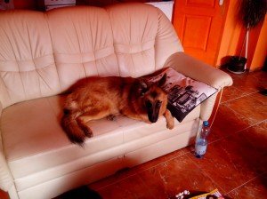IMG_20130921_090417