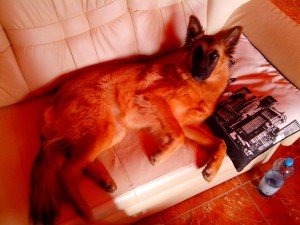IMG_20130921_090448