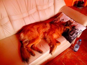 IMG_20130921_090503