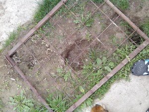 IMG_20130922_142420