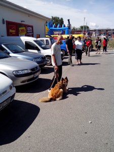 IMG_20140614_100701