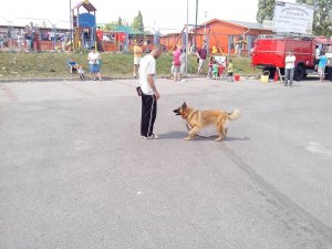 IMG_20140614_110432