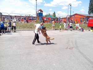 IMG_20140614_110507