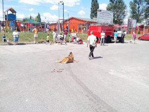 IMG_20140614_110517