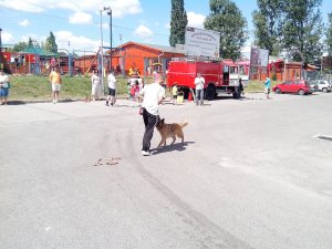 IMG_20140614_110543 másolata