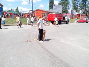 IMG_20140614_110548