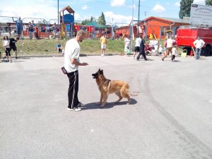 IMG_20140614_110558