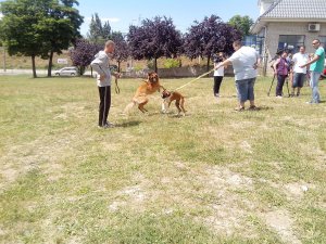 IMG_20140614_133427