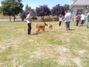 IMG_20140614_133430