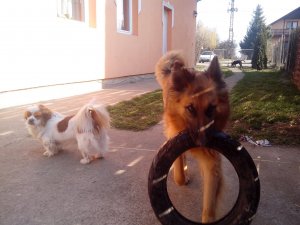 IMG_20150321_081942