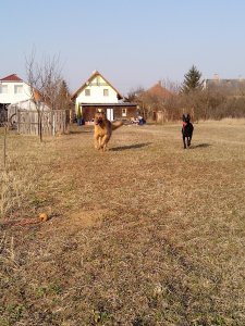 IMG_20150321_155645